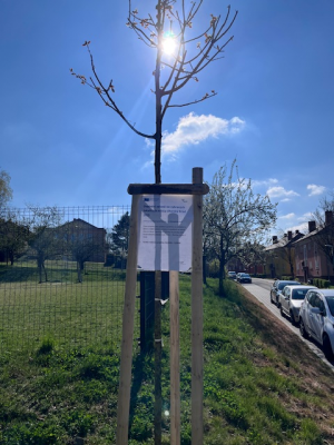 Doplnění zeleně ve vybraných lokalitách města Uherský Brod