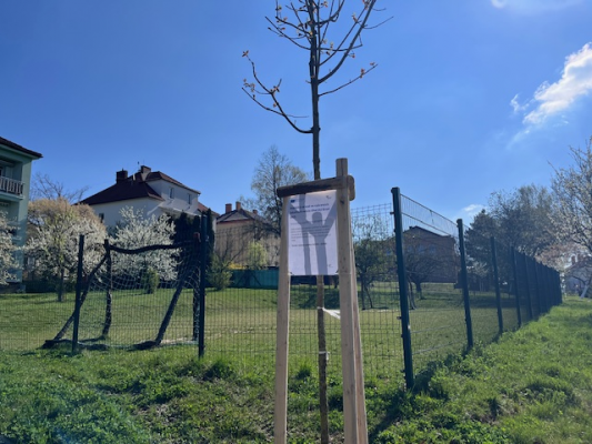 Doplnění zeleně ve vybraných lokalitách města Uherský Brod