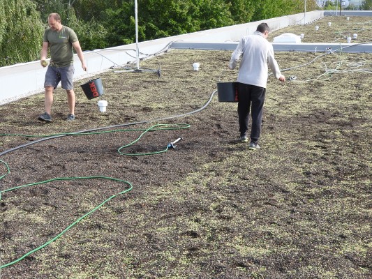 ZŠ Na Výsluní - rekonstrukce střešního pláště - pavilon C, D, E, F - záměr č. 327