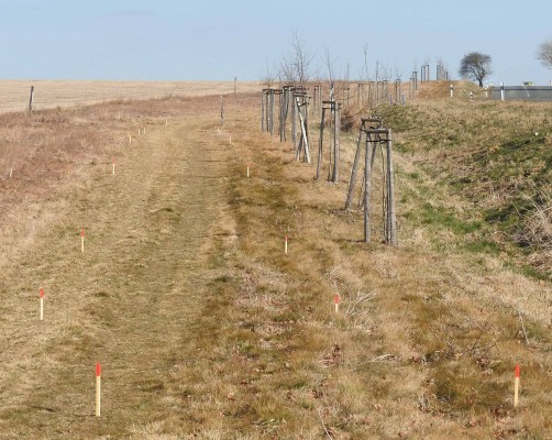 Vytyčení stezky pro pěší a cyklisty