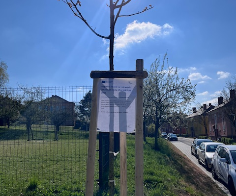 Doplnění zeleně ve vybraných lokalitách města Uherský Brod