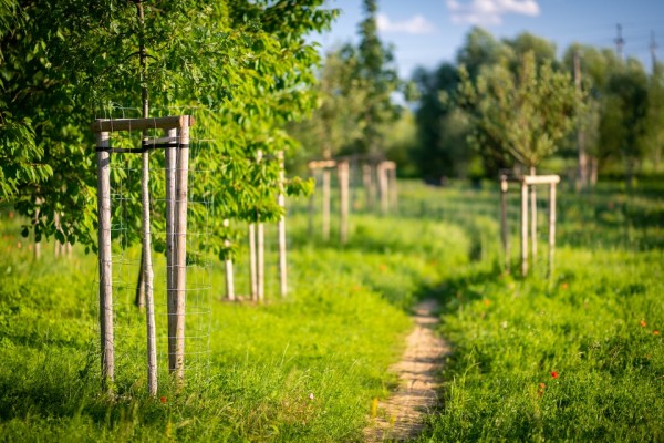 Environmentální park Škrlovec