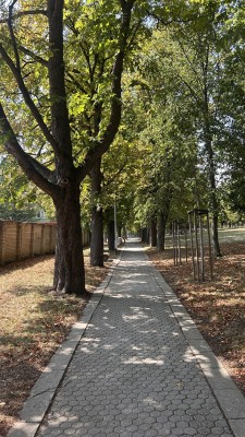 Revitalizace parku Sady J. A. Komenského - záměr č. 326