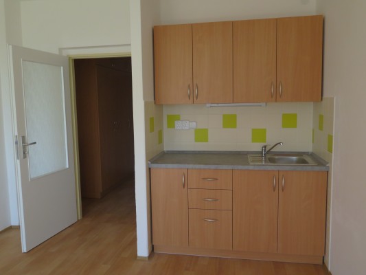 Rekonstrukce garsoniér a dvojpokojových bytů v Domě s pečovatelskou službou - záměr č. 258