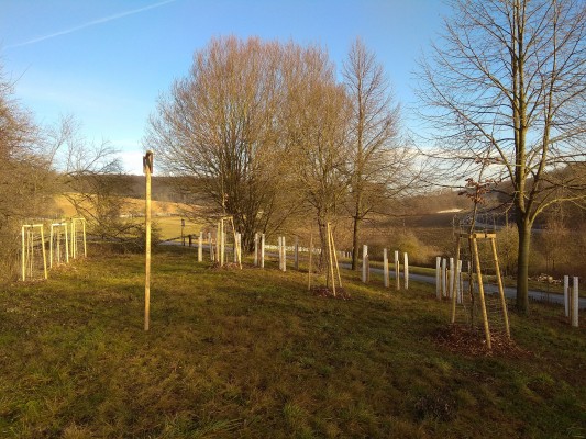 Návrh krajinné zeleně v lokalitě Zákřov - záměr č.  263