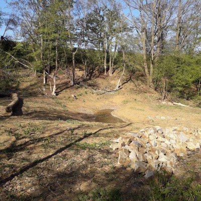 Krajinné úpravy údolnice potoka Hořenůšek - Újezdec u Luhačovic