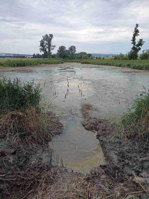 Původní stav rybníku