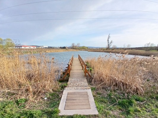 Rybník po revitalizaci