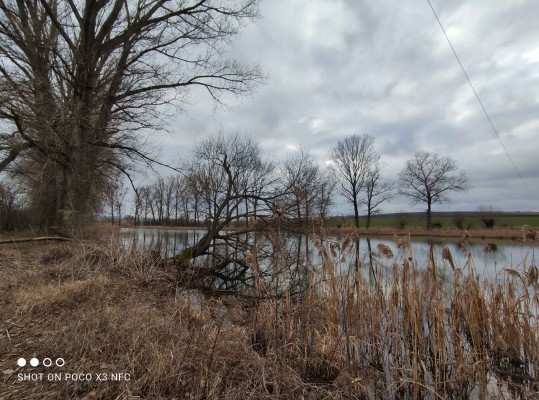 Původní stav rybníku