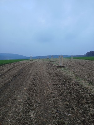Vegetační prvky v krajině dle KPÚ v k.ú. Uherský Brod, Újezdec u Luhačovic a Maršov