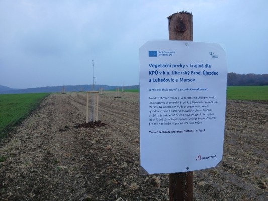 Vegetační prvky v krajině dle KPÚ v k.ú. Uherský Brod, Újezdec u Luhačovic a Maršov