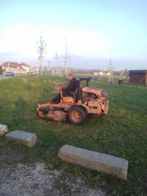 Projekt pěstebních opatření pro stromy na parcelách Města Uherský Brod