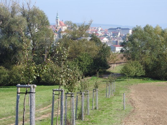 Cyklotrasa UB - Vlčnov - záměr č. 041