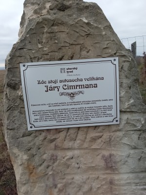 Socha Přemysla Otakara II